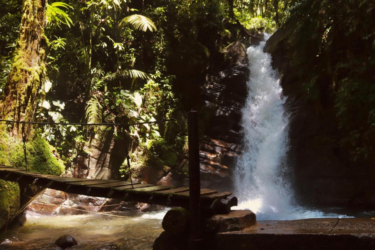 La Cabana Ecohotel - Valle Del Cocora Саленто Экстерьер фото
