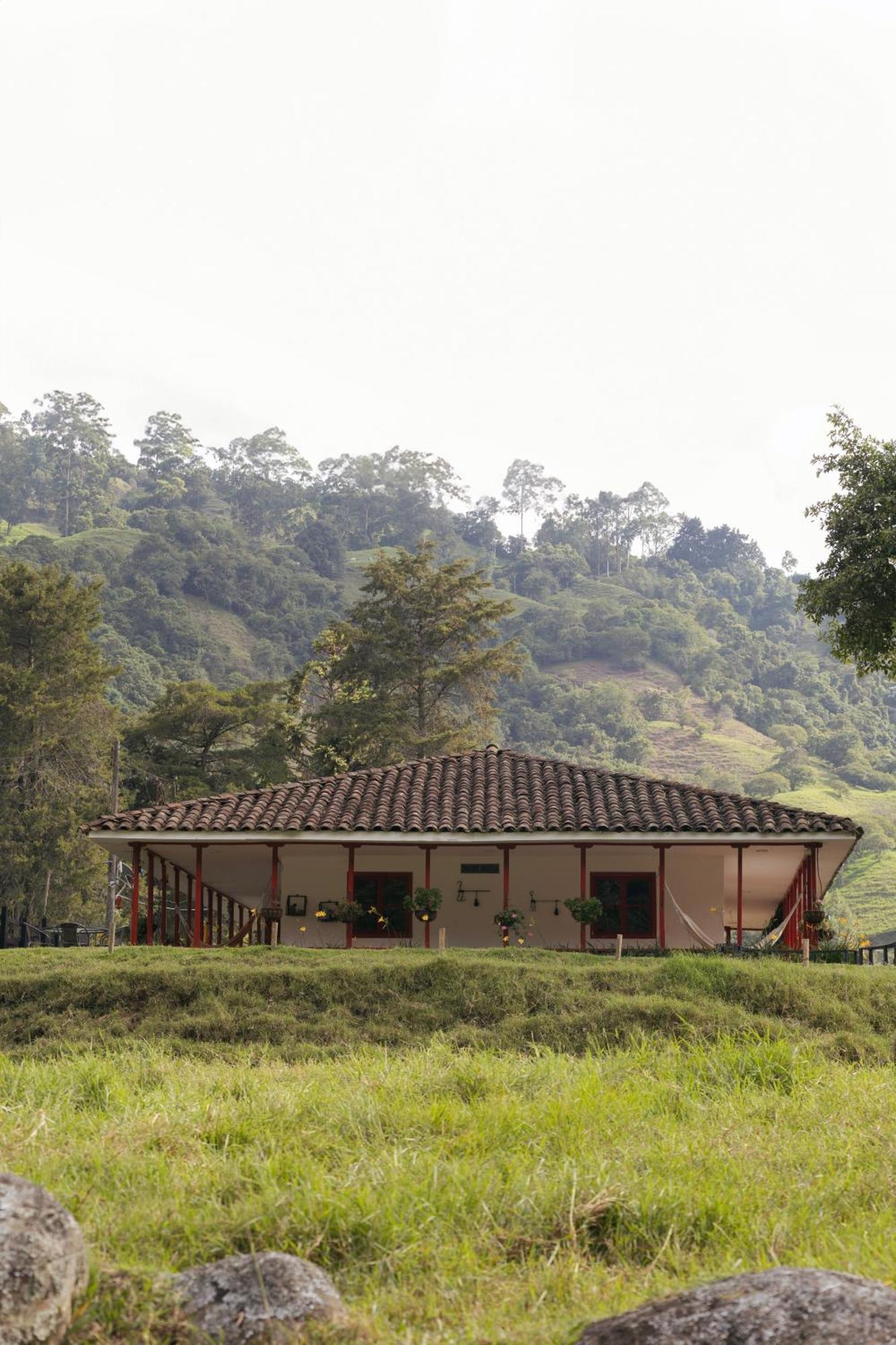 La Cabana Ecohotel - Valle Del Cocora Саленто Экстерьер фото