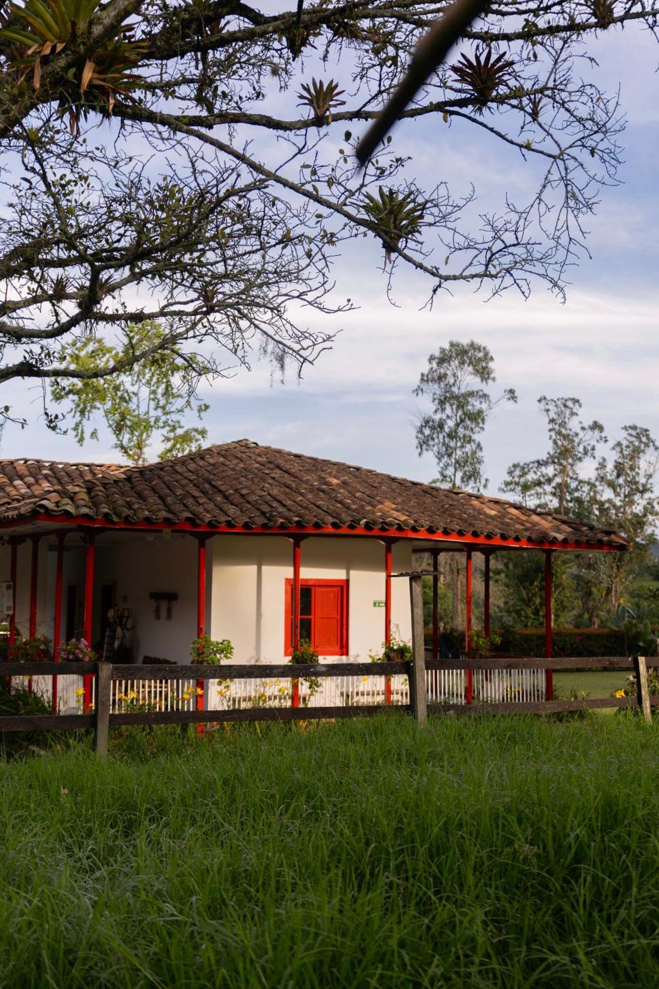La Cabana Ecohotel - Valle Del Cocora Саленто Экстерьер фото
