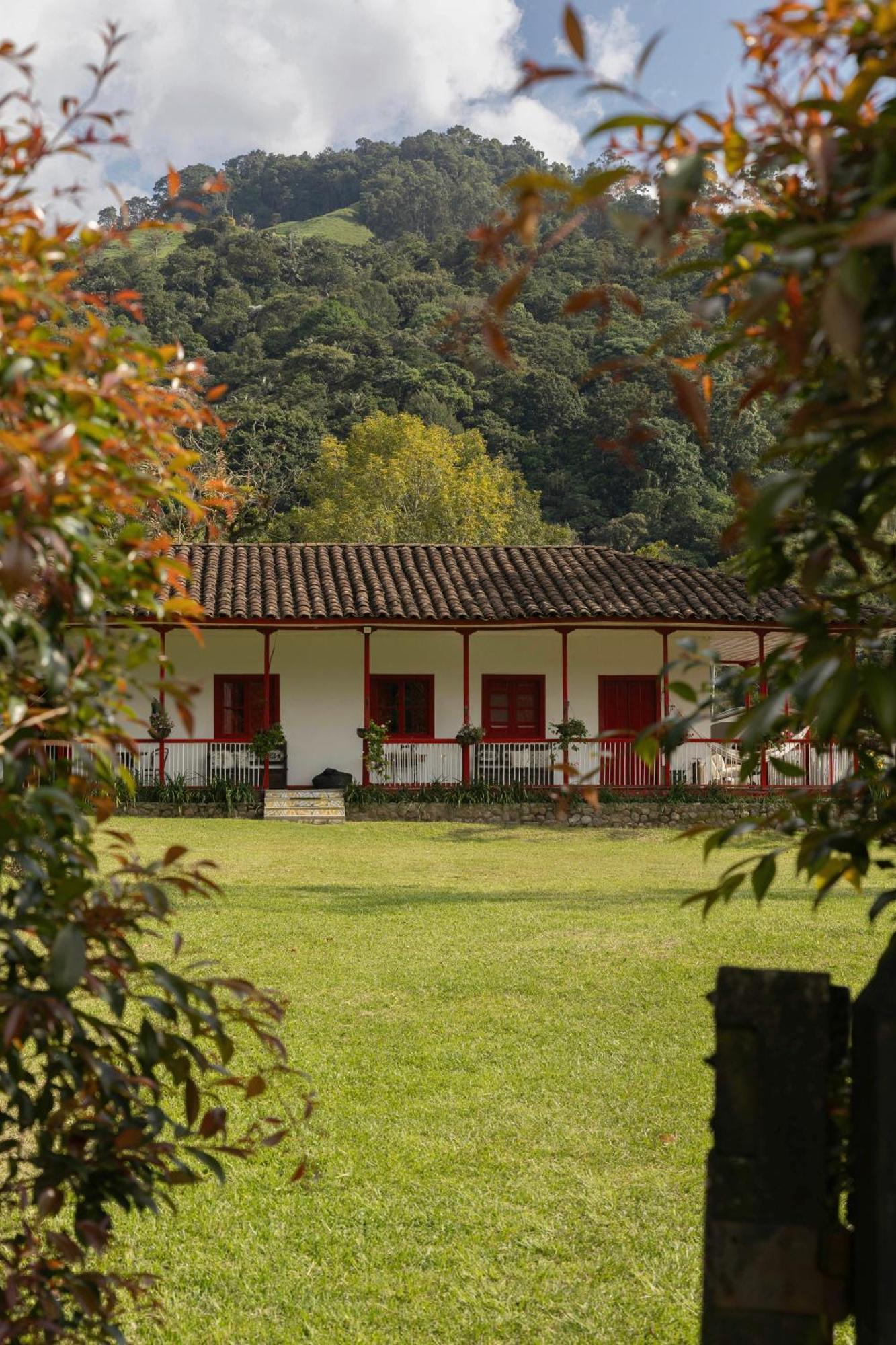 La Cabana Ecohotel - Valle Del Cocora Саленто Экстерьер фото