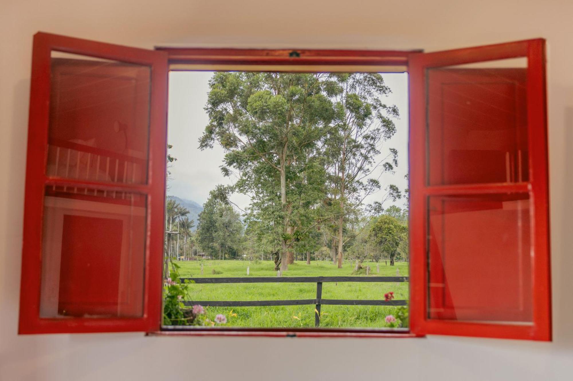 La Cabana Ecohotel - Valle Del Cocora Саленто Номер фото